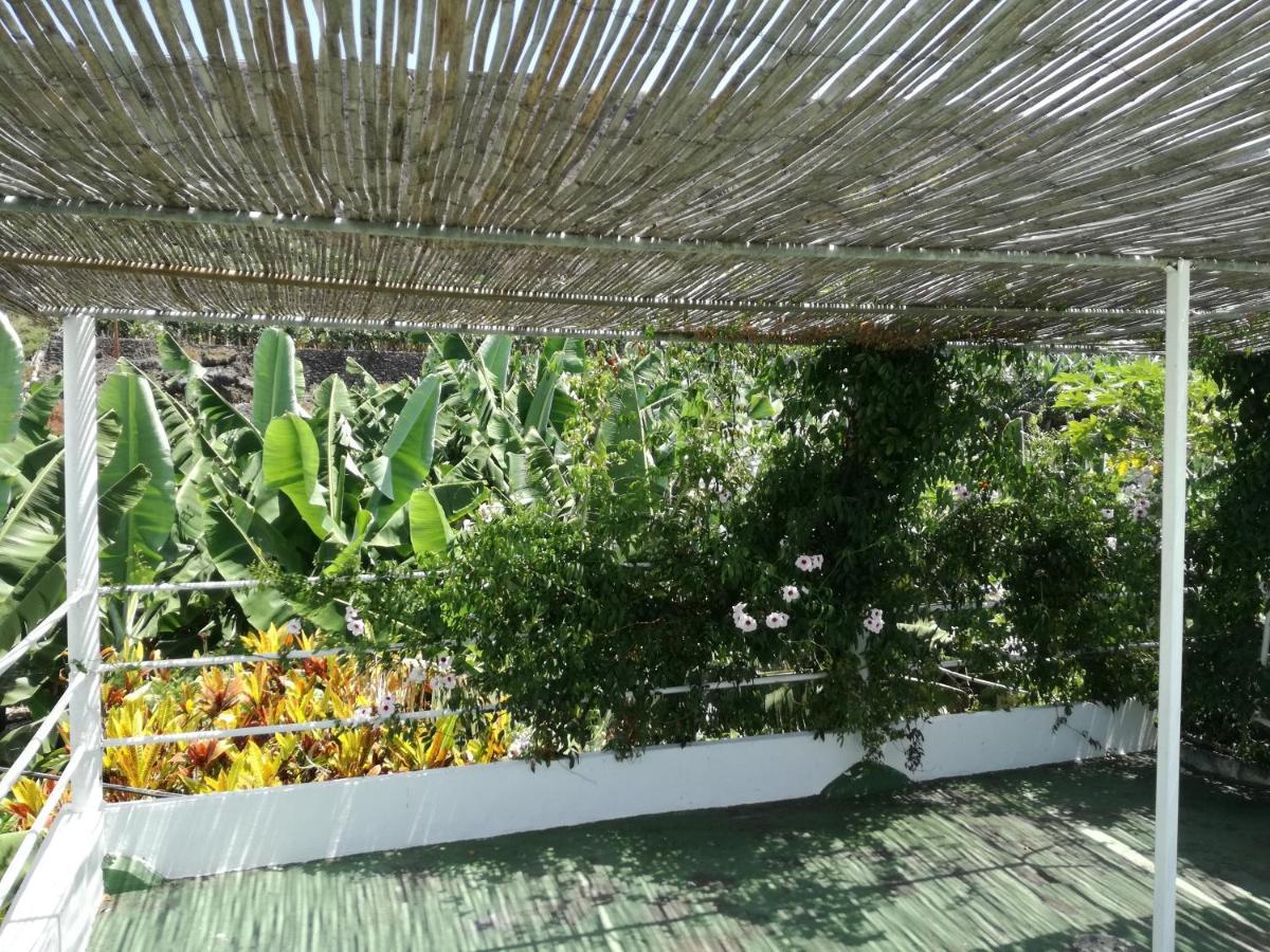 Casa Banana Villa Tazacorte Dış mekan fotoğraf